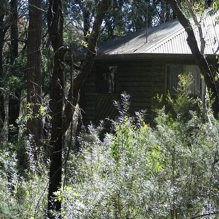 Twin Falls Bush Cottages Fitzroy Falls Extérieur photo