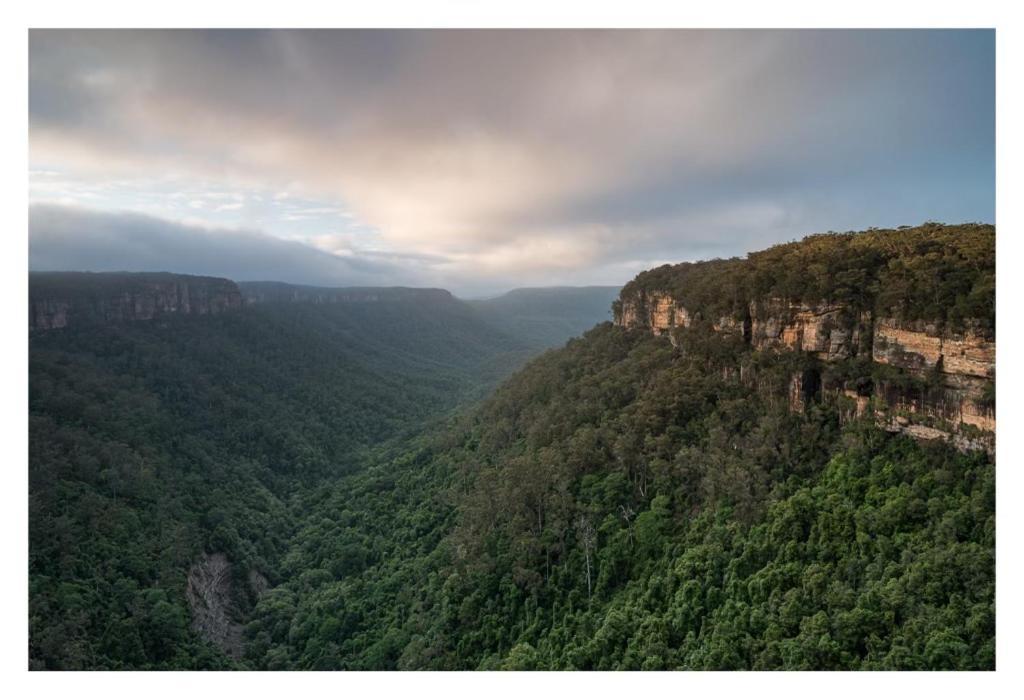 Twin Falls Bush Cottages Fitzroy Falls Extérieur photo