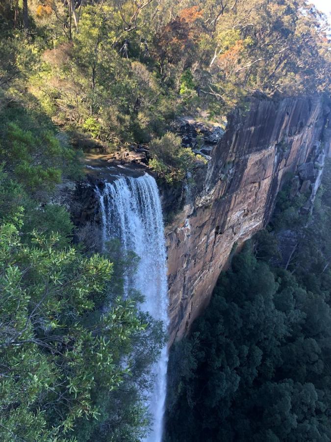 Twin Falls Bush Cottages Fitzroy Falls Extérieur photo