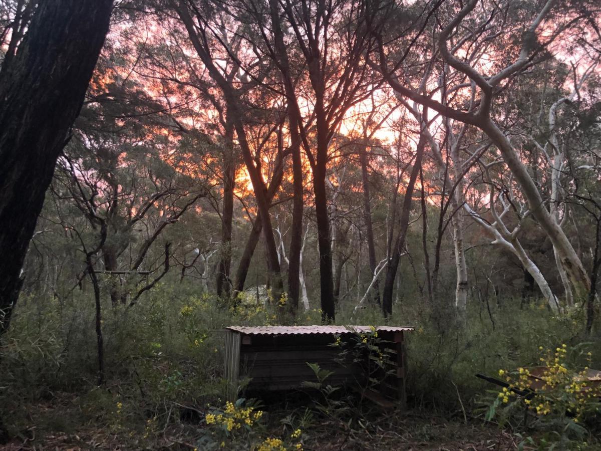 Twin Falls Bush Cottages Fitzroy Falls Extérieur photo