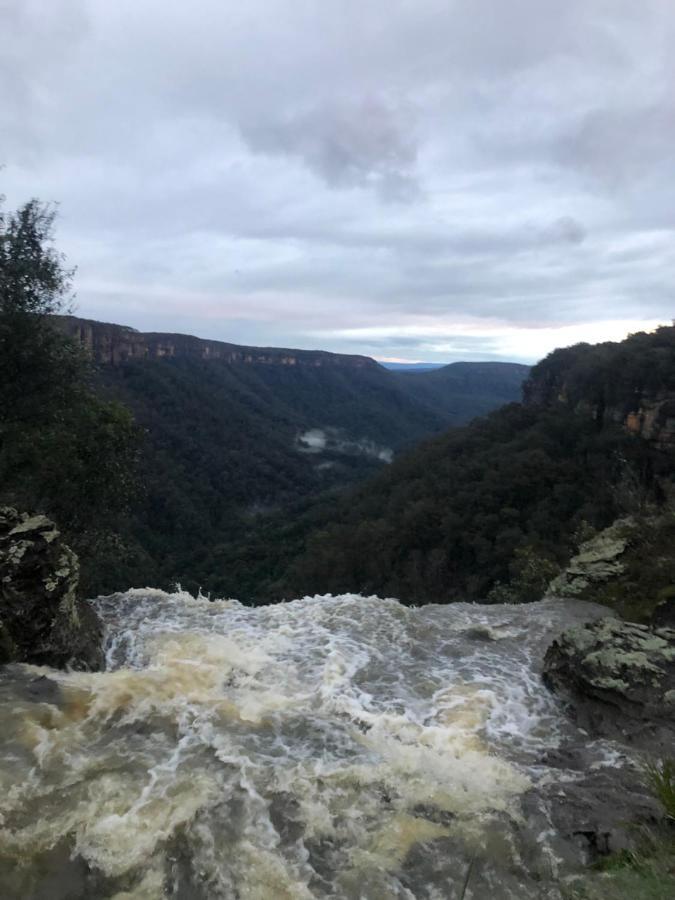 Twin Falls Bush Cottages Fitzroy Falls Extérieur photo