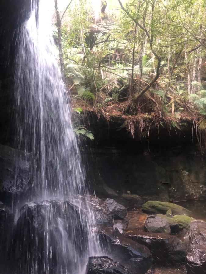 Twin Falls Bush Cottages Fitzroy Falls Extérieur photo