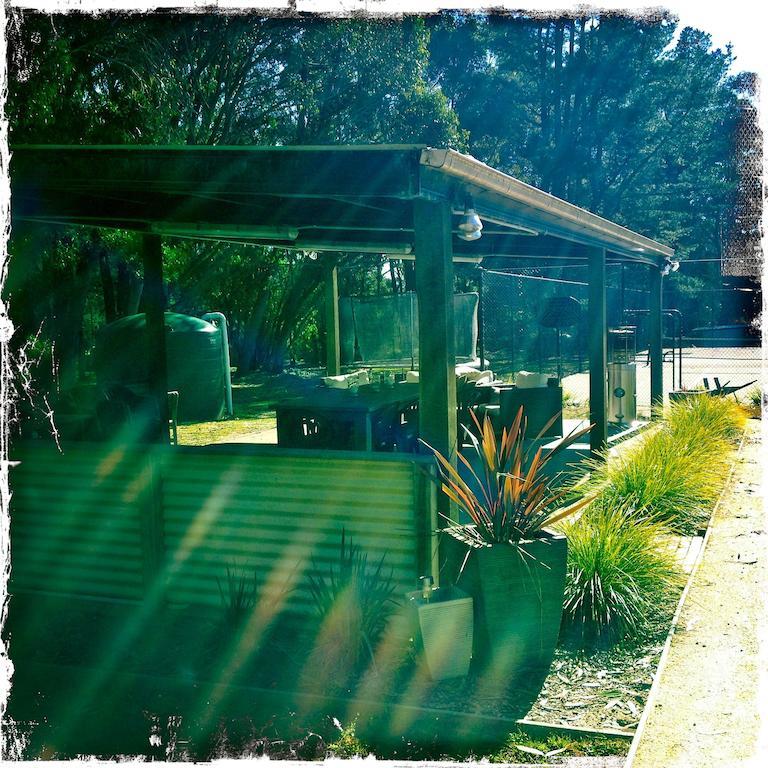 Twin Falls Bush Cottages Fitzroy Falls Chambre photo