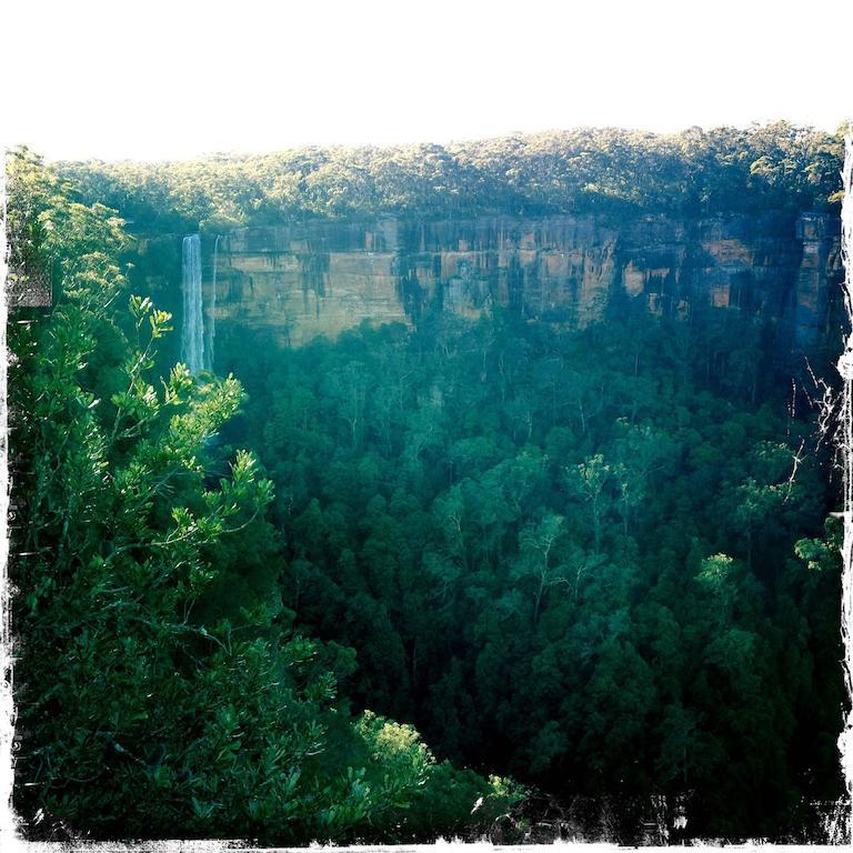 Twin Falls Bush Cottages Fitzroy Falls Chambre photo