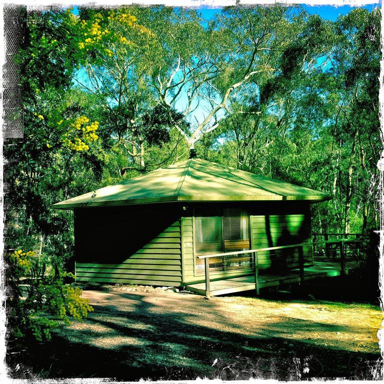 Twin Falls Bush Cottages Fitzroy Falls Chambre photo