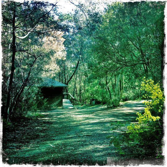Twin Falls Bush Cottages Fitzroy Falls Chambre photo