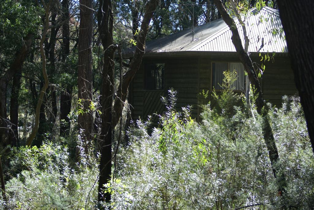Twin Falls Bush Cottages Fitzroy Falls Extérieur photo